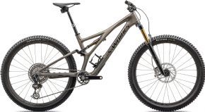 Specialized S-works Stumpjumper T-type Carbon 29er Mountain Bike