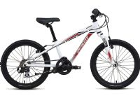 20" Wheel (age 5-7) Kids Bikes