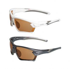 Bz Optics Tour Photochromic Glasses Hd Lenses - The bi focal magnification is moulded discretely into the rear of the lens