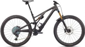 Specialized S-works Stumpjumper Evo Carbon Mountain Bike  2022 - 